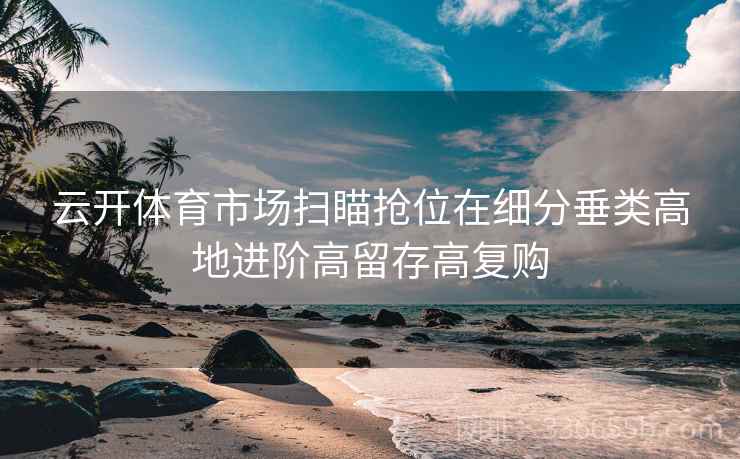 云开体育市场扫瞄抢位在细分垂类高地进阶高留存高复购