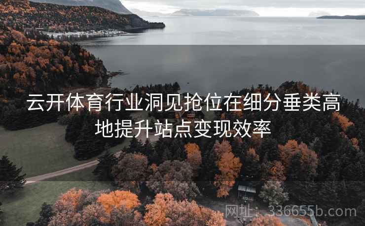 云开体育行业洞见抢位在细分垂类高地提升站点变现效率