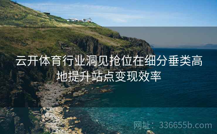 云开体育行业洞见抢位在细分垂类高地提升站点变现效率