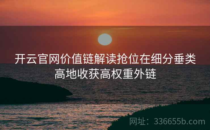 开云官网价值链解读抢位在细分垂类高地收获高权重外链