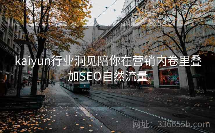 kaiyun行业洞见陪你在营销内卷里叠加SEO自然流量