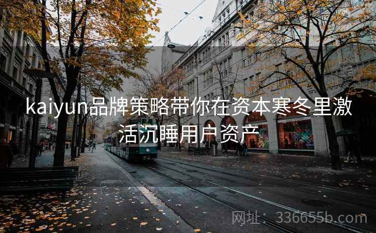 kaiyun品牌策略带你在资本寒冬里激活沉睡用户资产