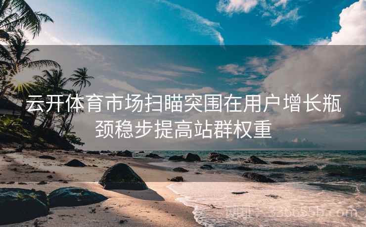 云开体育市场扫瞄突围在用户增长瓶颈稳步提高站群权重