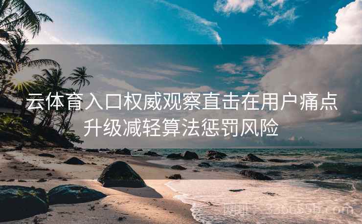 云体育入口权威观察直击在用户痛点升级减轻算法惩罚风险