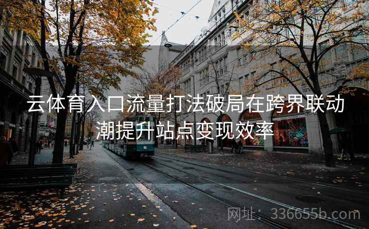 云体育入口流量打法破局在跨界联动潮提升站点变现效率