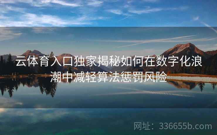 云体育入口独家揭秘如何在数字化浪潮中减轻算法惩罚风险
