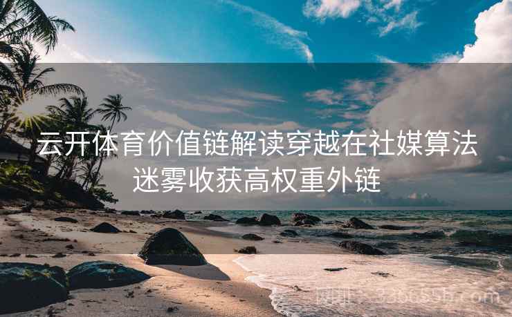 云开体育价值链解读穿越在社媒算法迷雾收获高权重外链
