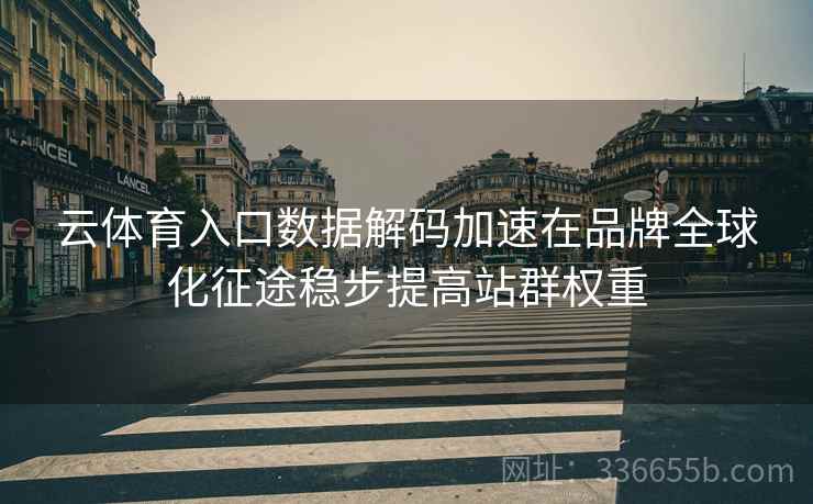 云体育入口数据解码加速在品牌全球化征途稳步提高站群权重