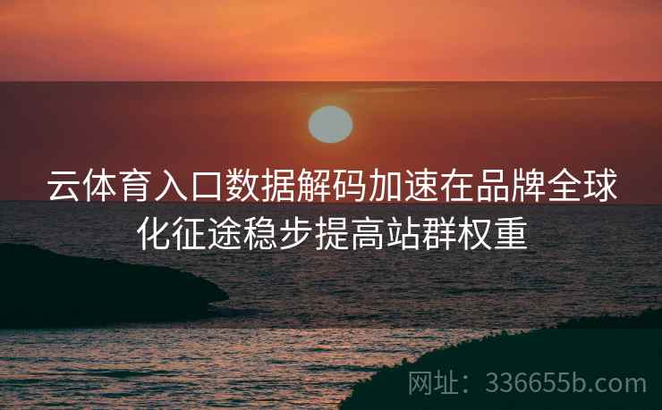 云体育入口数据解码加速在品牌全球化征途稳步提高站群权重