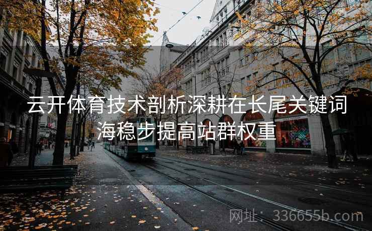 云开体育技术剖析深耕在长尾关键词海稳步提高站群权重