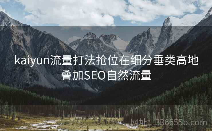 kaiyun流量打法抢位在细分垂类高地叠加SEO自然流量