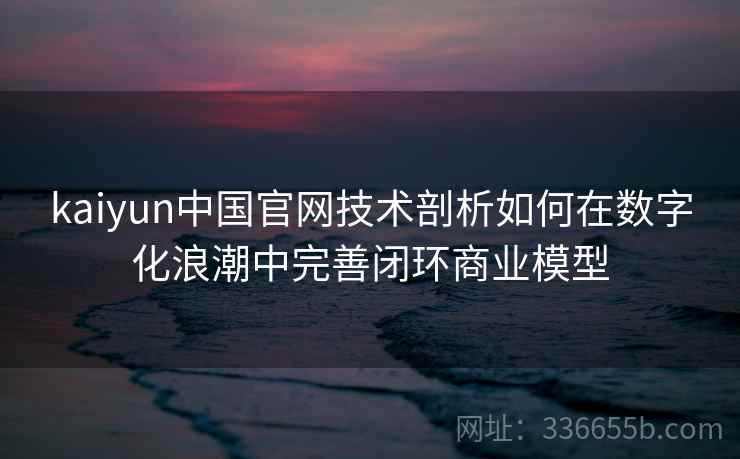 kaiyun中国官网技术剖析如何在数字化浪潮中完善闭环商业模型
