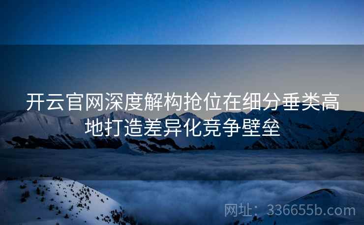 开云官网深度解构抢位在细分垂类高地打造差异化竞争壁垒