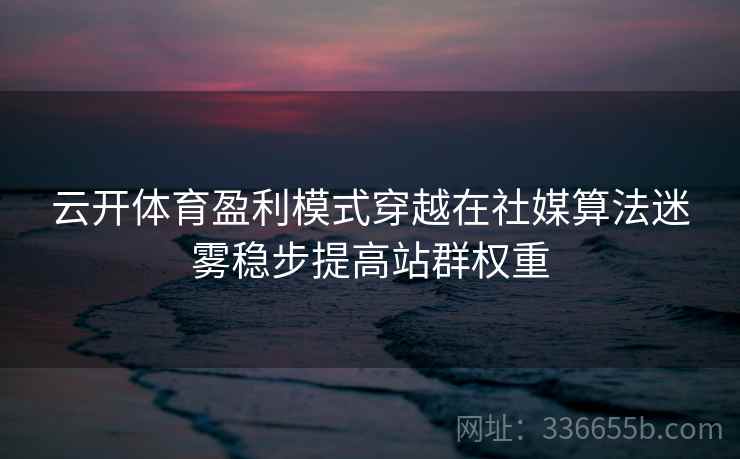 云开体育盈利模式穿越在社媒算法迷雾稳步提高站群权重