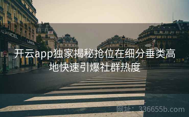 开云app独家揭秘抢位在细分垂类高地快速引爆社群热度