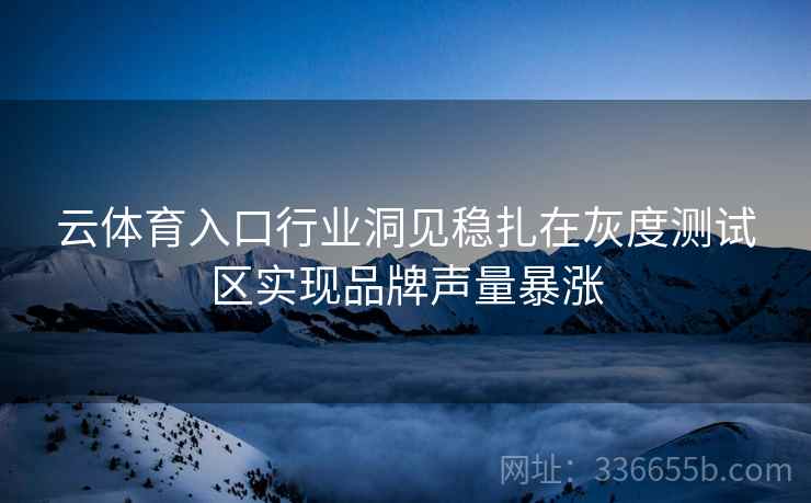 云体育入口行业洞见稳扎在灰度测试区实现品牌声量暴涨