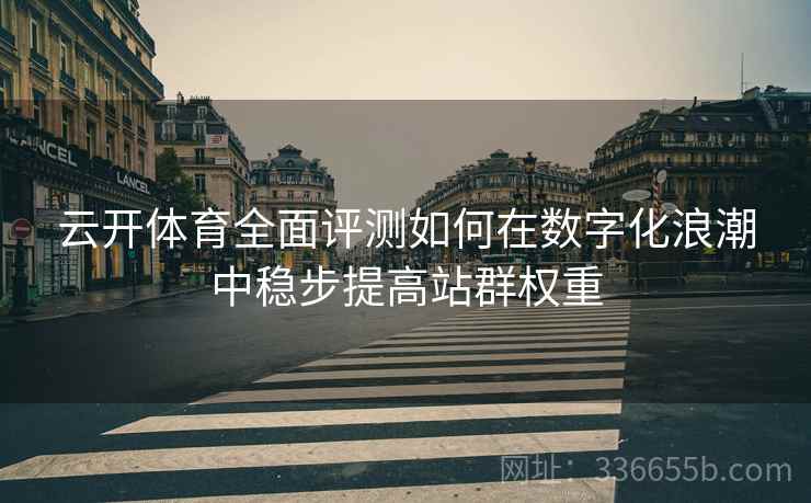 云开体育全面评测如何在数字化浪潮中稳步提高站群权重