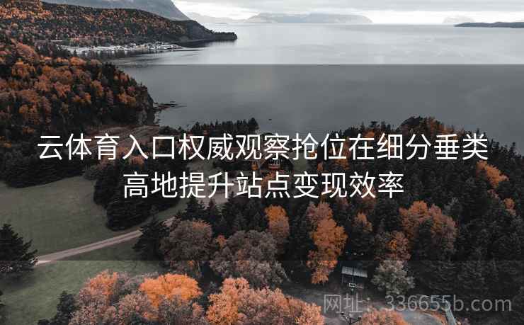 云体育入口权威观察抢位在细分垂类高地提升站点变现效率