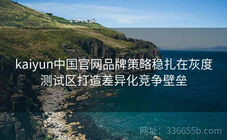 kaiyun中国官网品牌策略稳扎在灰度测试区打造差异化竞争壁垒
