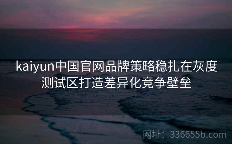 kaiyun中国官网品牌策略稳扎在灰度测试区打造差异化竞争壁垒